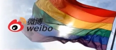 Weibo Logo and Rainbow Flag