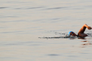 U.S. swimmer Diana Nyad begins her attempt to swim to Florida from Havana August 7, 2011. The 61-year-old plunged into the Straits of Florida at dusk on Sunday to begin what she hopes will be a world record 103-mile (168 km) swim from Cuba to Florida. The same swim was completed successfully by Australian Susan Maroney in May 1997. But Nyad's claim to a world record will be that unlike Maroney, she is doing it without a shark cage in the strait's warm, shark-infested waters. Nyad will be protected by a surrounding electrical field and by divers who will watch for sharks and drive them away if they get too close. <br/>Reuters / Desmond Boylan