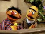 an-online-petition-is-calling-for-sesame-street-to-have-male-puppets-bert-and-ernie-get-married.jpg