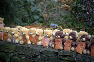Teddy bears, each representing a victim of the Sandy Hook Elementary School shooting, sit on a wall at a sidewalk memorial, Sunday, Dec. 16, 2012, in Newtown, Conn. A gunman walked into Sandy Hook Elementary School in Newtown Friday and opened fire, killing 26 people, including 20 children. <br/>David Goldman /AP Photo 