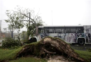 A tree falls on a bus as Hurricane Dean hits Chetumal in the state of Quintana Roo, Mexico, August 21, 2007. <br/>(Reuters: Henry Romero)