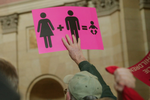 Sign at anti gay marriage rally <br/>PoliticsinMinnestoa/Peter Bartz-Gallagher