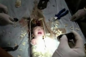 An abandoned newborn baby boy is seen in a sewage pipe following his rescue, in this still image taken from video, in Jinhua city, Zhejiang province May 25, 2013. <br/>REUTERS/Local Firefighter Handout via CCTV/Reuters