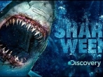 shark week.jpg