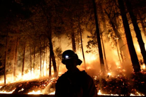 A firefighter watches for spot fires during a burnout operation while battling the Rim Fire near Yosemite National Park, Calif., on Sunday, Aug. 25, 2013. <br/>AP Photo/Jae C. Hong