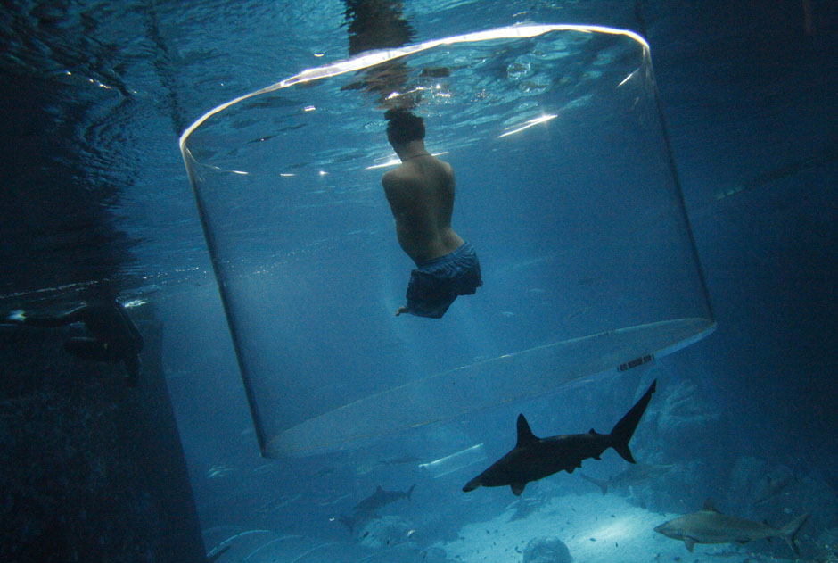 Nick Vujicic, an Australian motivational speaker who was born without limbs, swims with sharks at the Marine Life Park in Singapore September 5, 2013. Vujicic dived with sharks in a customized acrylic enclosure that takes in a 360-degree view of the shark habitat at the aquarium. Vujicic is in Singapore to give a motivational talk to a 5,000 strong audience on Saturday. 