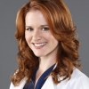 Grey's Anatomy Sarah Drew