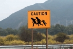 Illegal Immigration Crisis