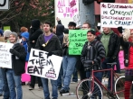 Gay Marriage Protesters