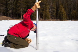 Frank Gehrke, chief of snow surveys for the California Department of Water Resources, measures the snowpack in Phillips, California January 29, 2015. The reading at Phillips is 2.3 inches of water equivalent, 12% of the historic average for this location. REUTERS/Max Whittaker <br/>